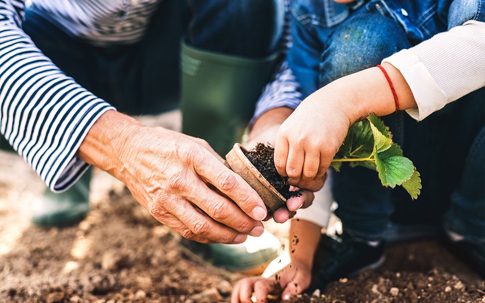 planting-together